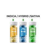 INDICA SATIVA HYBRID