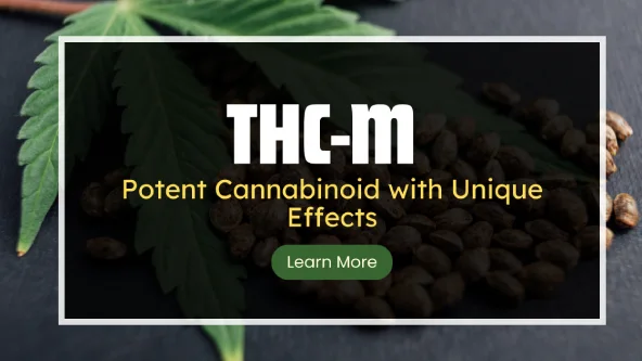 THC-M Comprehensive Guide