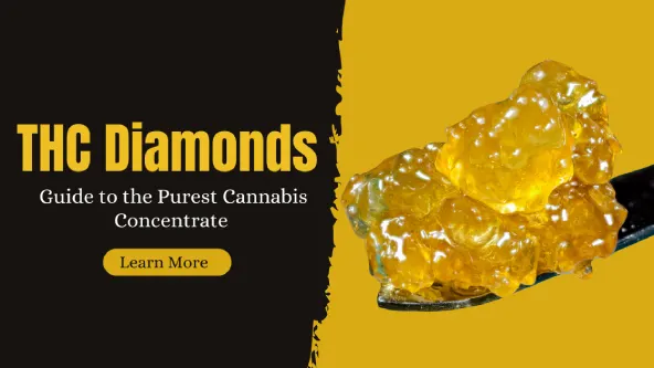 THC Daimonds