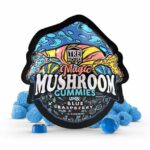 TREHOUSE MAGIC MUSHROOM GUMMIES