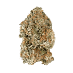 thca flower bud