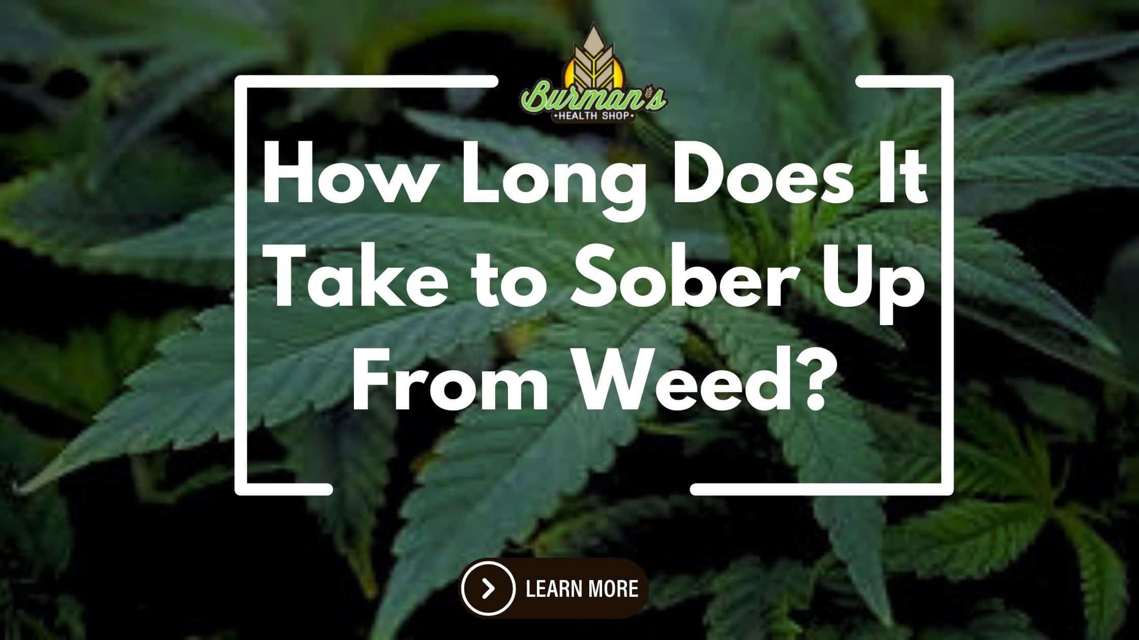 How Long Does It Take to Sober Up From Weed?