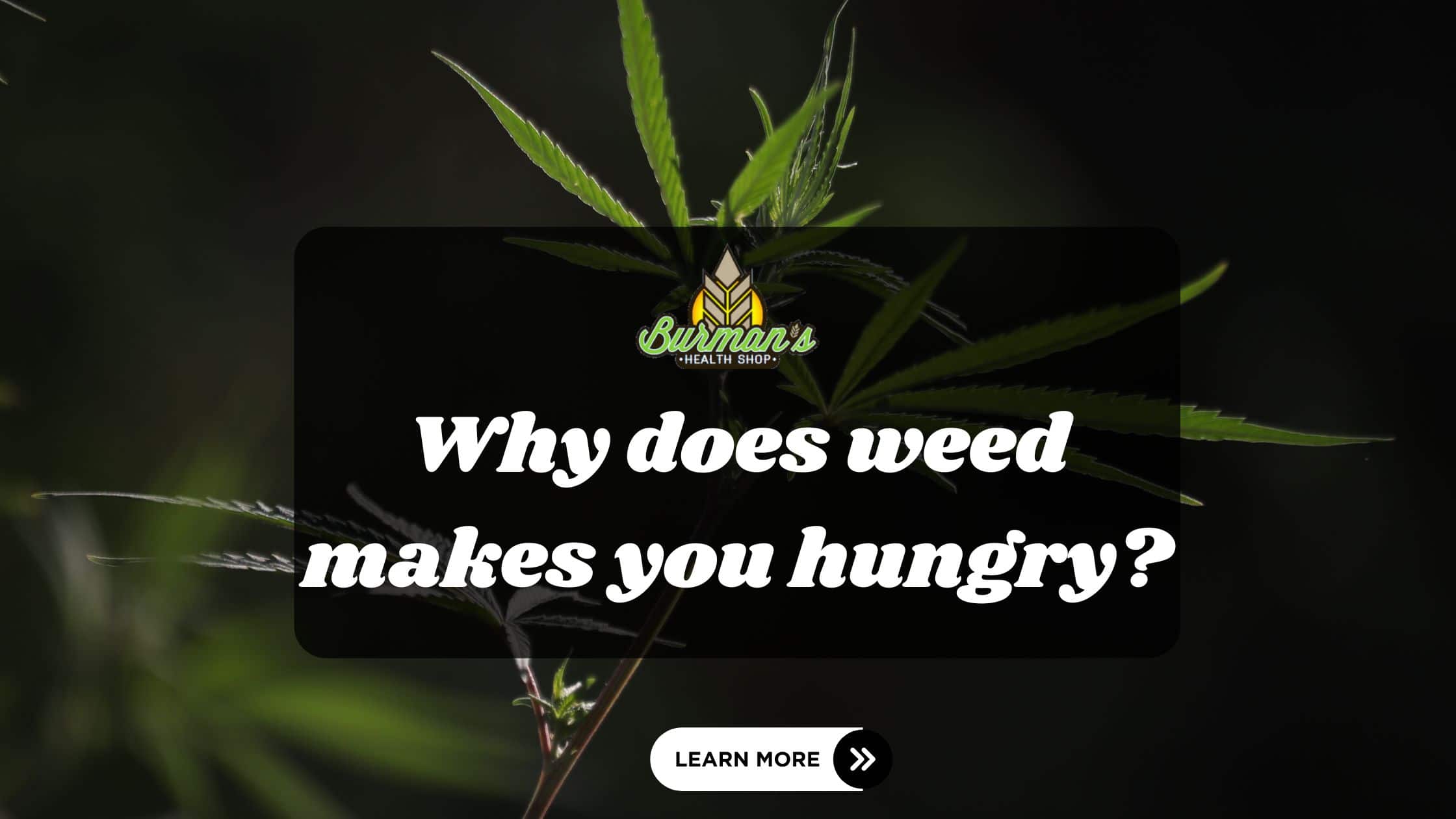 Why Does Weed Make You Hungry? The Science Behind Cannabis and Appetite.